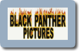 Black Panther Picture